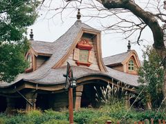 -Tangled Tree Tavern 老藤树食栈