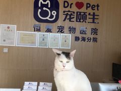 -宠颐生·恒爱宠物医院(静海店)