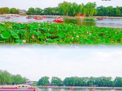 -什刹海