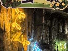 -正佳雨林生态植物园