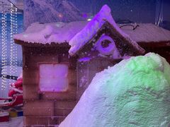 -海合安青岛极地海洋公园