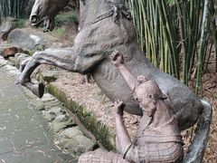 -铁山坪森林公园