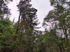 -萨尔浒风景区