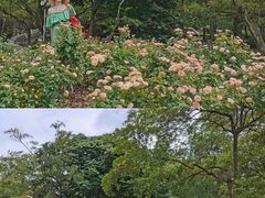 -人民公园(罗湖区)