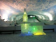 -世界之窗阿尔卑斯冰雪世界
