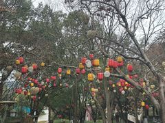 -天目湖山水园