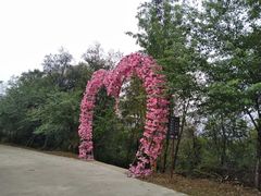 -南丹山森林王国