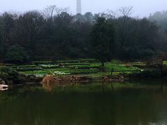 -巢湖姥山岛