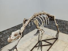 -游龙石文化科普馆