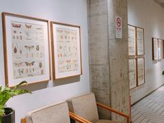 -Tims天好咖啡·贝果(拉斐尔云廊店)