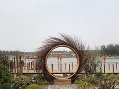 -东平国家森林公园