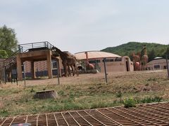 -哈尔滨北方森林动物园