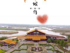 -宁波杭州湾国家湿地公园
