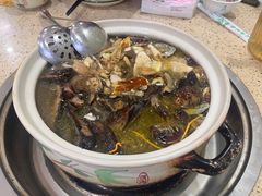 -杨记山珍鸡煲菌汤锅