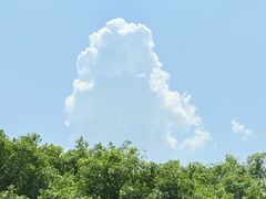 -重庆彩云湖湿地公园
