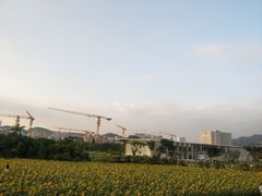 -光明小镇欢乐田园