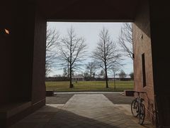 -普林斯顿大学