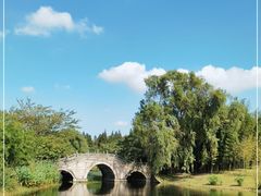 -上海共青森林公园