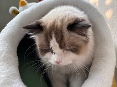 -小时光咖啡馆(北锣鼓巷店)