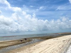 -北海金海湾红树林生态旅游区