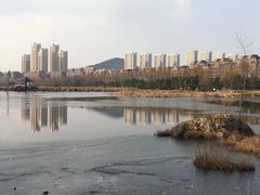 -前关湿地公园
