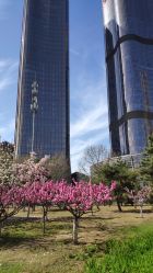 -大望京儿童游乐场