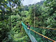 -云南屏边大围山国家公园