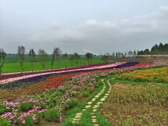 iphone_upload_pic-北纬44度·金珠花海休闲农业旅游景区