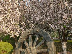 -元大都城垣遗址公园