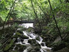 -青峰峡国家森林公园