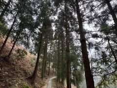 -天目山-昭明禅寺