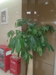 -重庆星宸整形美容医院