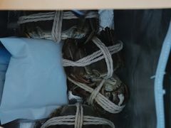 -阳澄湖大闸蟹·琼灵阁牌品牌连锁(吴中总店)