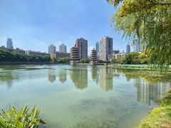 -宝岛公园