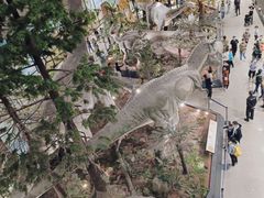 -湖南省地质博物馆