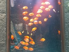 -弘安丽水温泉酒店