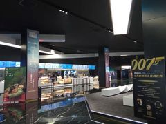 -奥斯卡升龙国际影城(RealD Cinema)