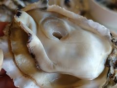 -碧中海汤泉汗蒸酒店