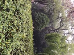 -赭山公园