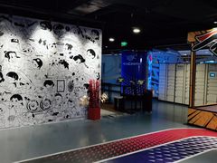 -VS SPORTS PARK运动玩乐园·团建·生日会(合生汇店)