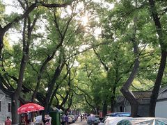 -北京国子监胡同