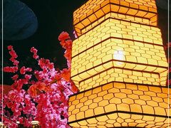 -今朝桃花醉川菜小酒馆(龙湖天街店)