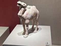 -宁夏博物馆