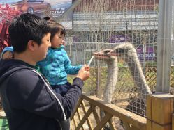 -萌宠亲子动物乐园(槐房万达店)