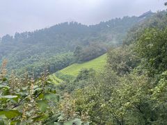 -敬亭山风景名胜区