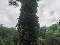 -炎帝陵景区