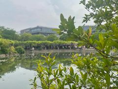 -嘉定紫藤园