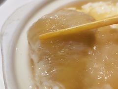 -新同乐鱼翅酒家(美丽华店)