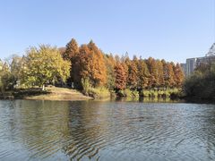 -瑶湖郊野森林公园