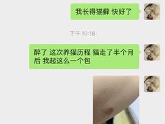 -喵百万·布偶·蓝金金渐层英短·猫舍(百子湾店)